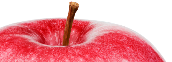 Unique au monde, le vinaigre de cidre brule graisses